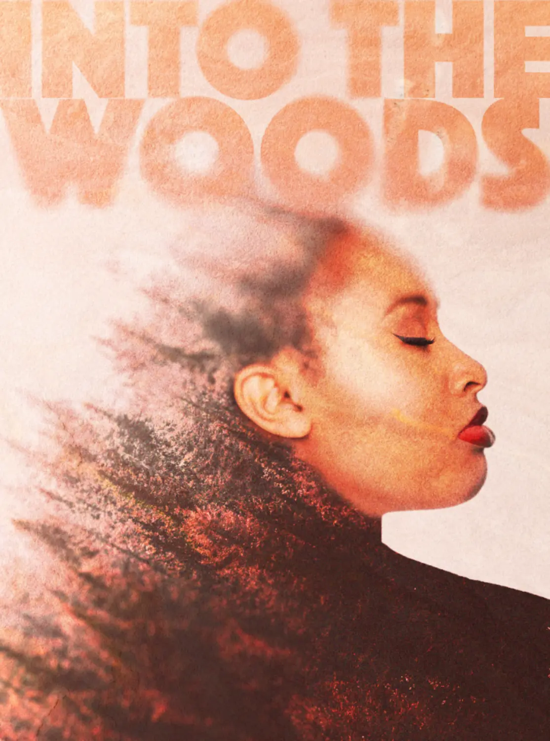 Into the Woods Poster